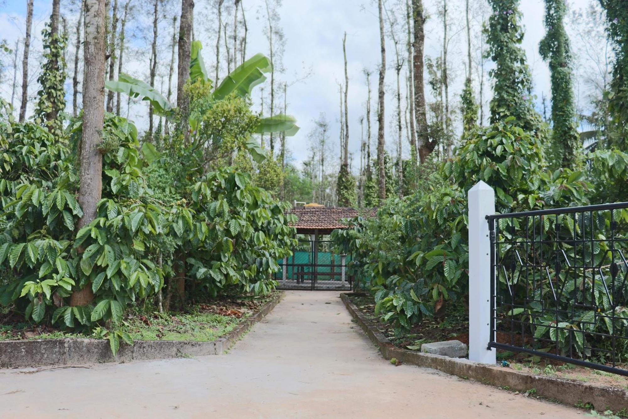 Coffeebean Villa - Unwind & Rejuvenate Sakleshpur Exterior photo